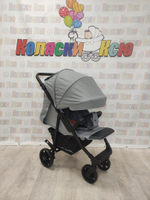 Коляска прогулочная Rant Basic Vega Grey 2024