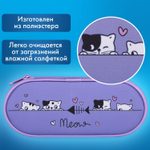 Пенал-футляр BRAUBERG 1 отделение органайзер полиэстер 22x9х5 см "Meow" (2 штуки в упаковке)