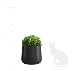 Кашпо CONE NERO