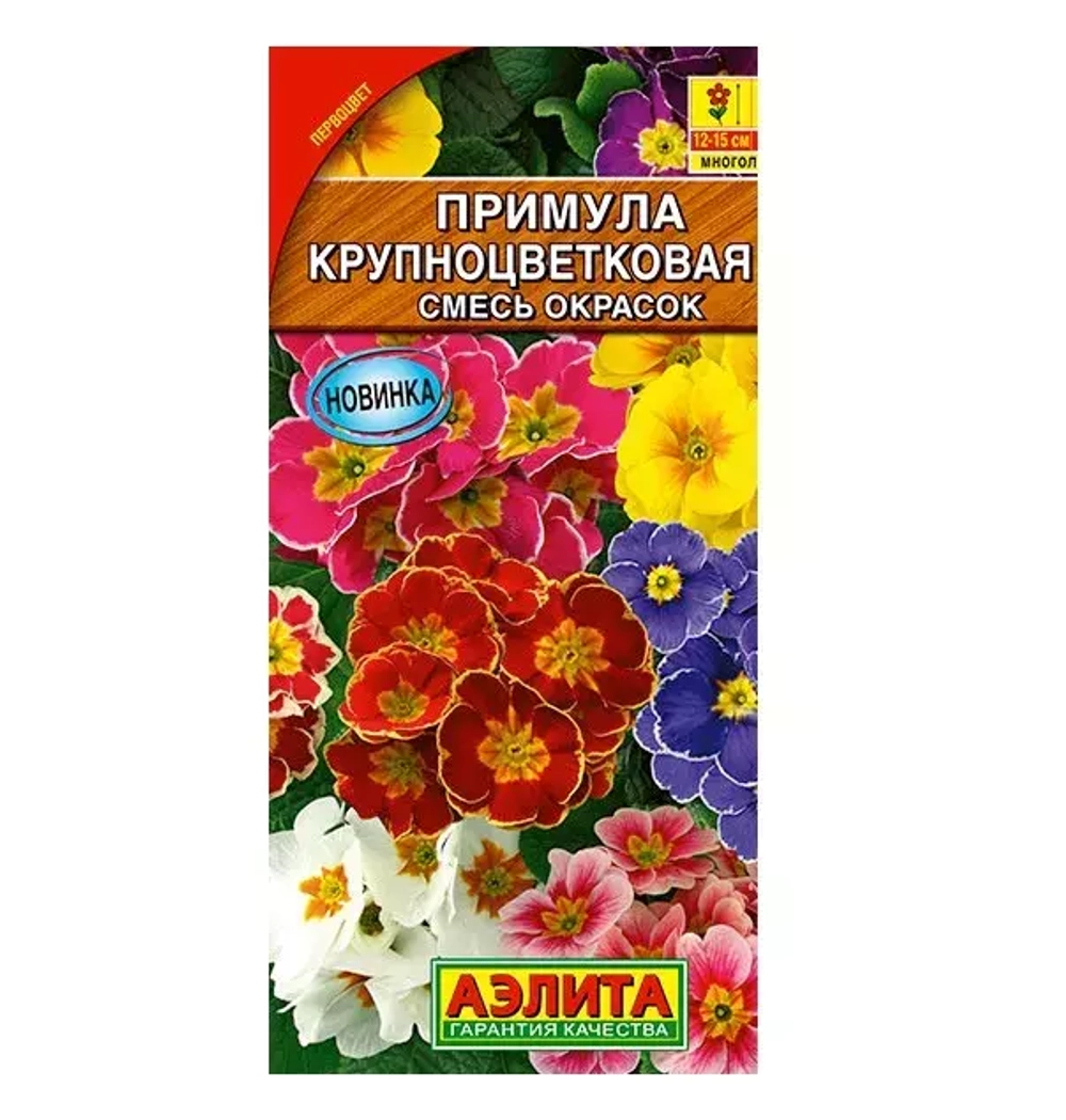 Примула Семена Алтая