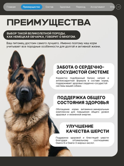 Корм сухой для взрослых собак породы Немецкая овчарка, премиум полнорационный комплекс, с лососем, 2,5 кг, QUATTRO