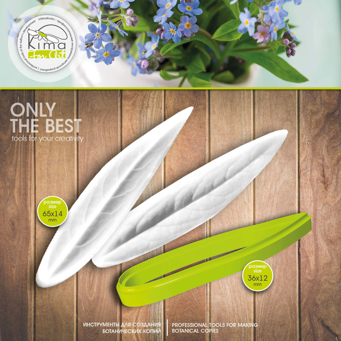 Незабудка лист