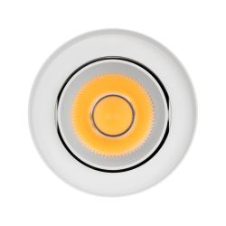 Светильник SP-FOCUS-R110-18W Day4000 (WH, 24 deg, 230V) (Arlight, IP54 Металл, 5 лет) 054838