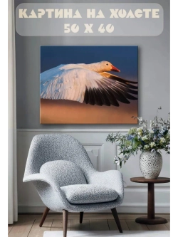 Картина на стену 40 X 50 Гусь