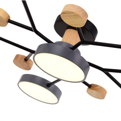 Светильник потолочный Evoluce Faema SLE6006-702-06