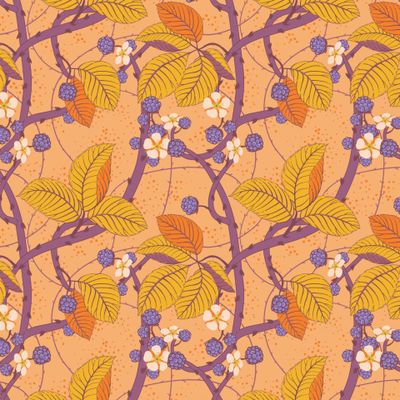 Осенняя ежевика