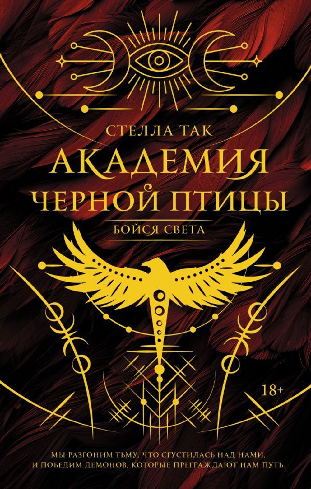 Академия Черной птицы