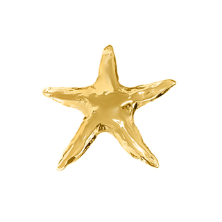 Брошь Sea Star