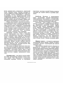 Лицо больного | Куприянов В. В.