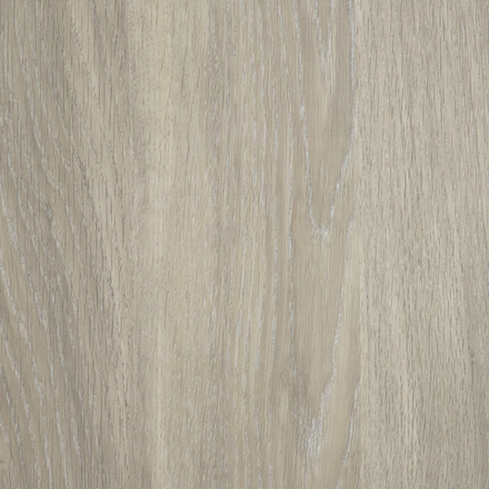 Дуб португальский