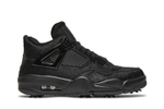 Кроссовки Jordan Air Jordan 4 Black Cat