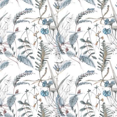 Папоротник и компания.