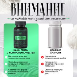 Ежовик гребенчатый, ежевик lions mane + мицелий, капсулы 180 шт.