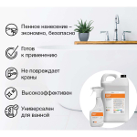 Средство моющее Vortex CleanBox Professional Breeze Spray кислотное для сантехники с дезинфицирующим эффектом 5 л