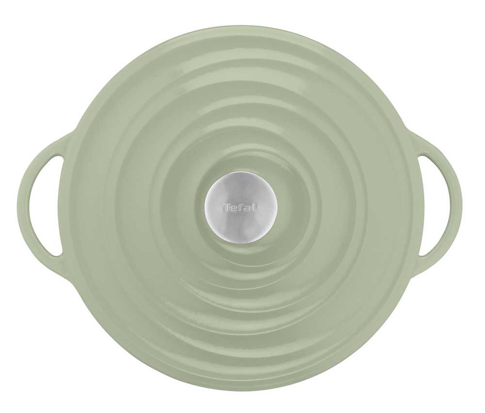 Кастрюля с крышкой Tefal LOV 7.4л 29см E2580504