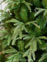 Ель искусственная «Форесто» (Литая+пвх) 180 см / 1.8 м