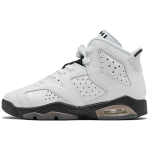 Кроссовки Air Jordan 6 Retro GS Alligator