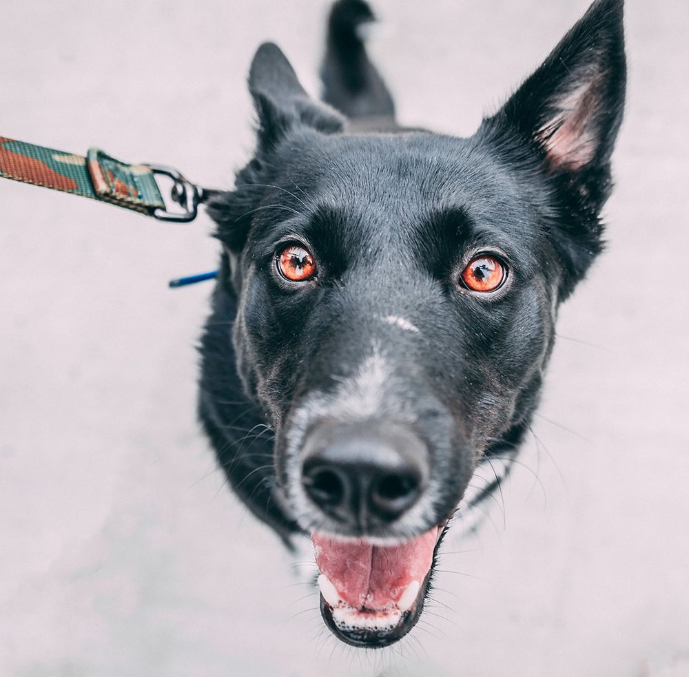 Получайте бонусы с каждым заказом!