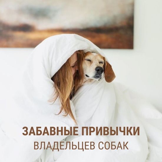 Забавные привычки владельцев собак