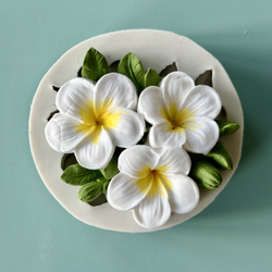 Молд силиконовый для творчества " Цветы плюмерии" 6 см / Форма для мыла, воска, гипса и эпоксидной смолы