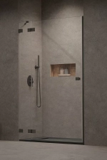 Душевая дверь Radaway Essenza Pro Brushed Nickel DWJ 120 стекло прозрачное/профиль брашированная оружейная сталь
