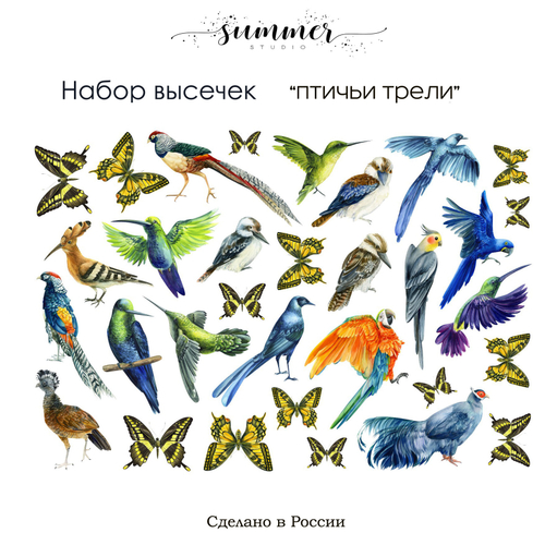 Набор высечек "Птичьи трели пл.330 гр, SS25112022-8