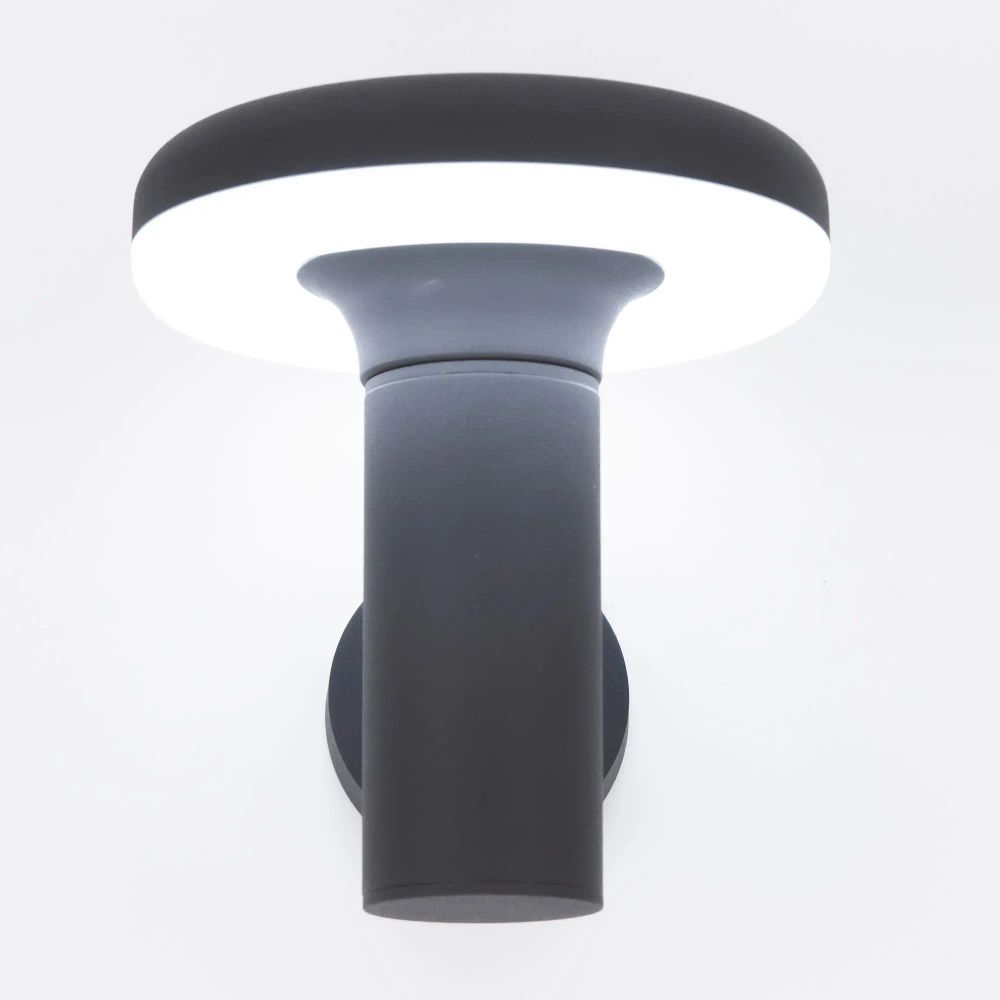 Citilux GARDA CLU01W LED Уличный настенный светильник Графит