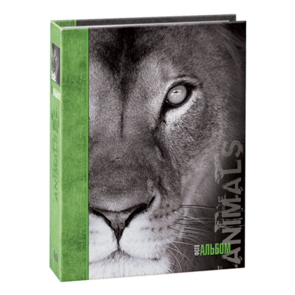 Image Art 264 IA -72РP, размер фото 15х21 | Image Art