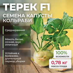ТЕРЕК F1 семена капусты кольраби (Rijk Zwaan | Alexagro)