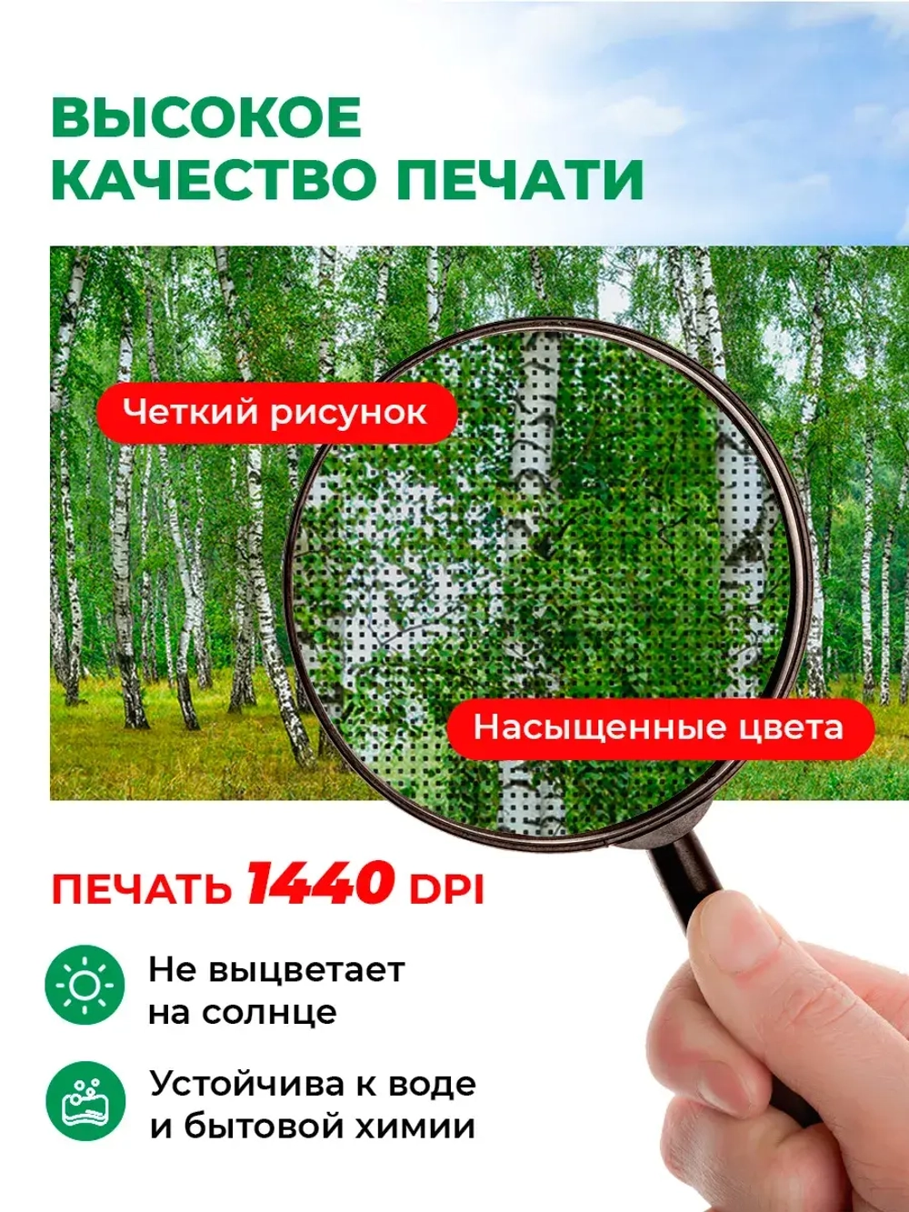 Фотосетка на забор пейзаж Березовая роща 2х1,58 м