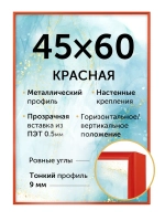 Металлическая рамка для постеров 45х60 см