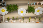 Daisy Picnic Party