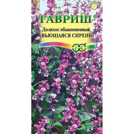 Гиацинтовые бобы "Вьющаяся сирень" Гавриш