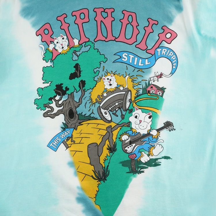Футболка мужская Ripndip Band Wagon артикул:RND4556 - купить в магазине Дайс