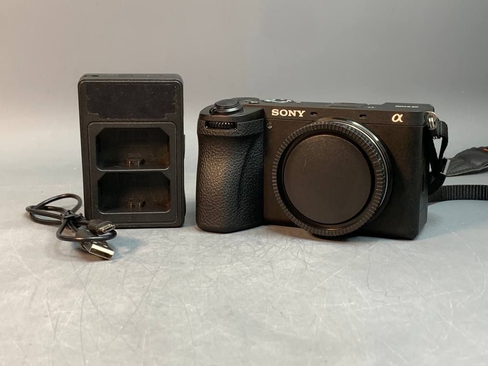 Sony A6700 1.182 кадров