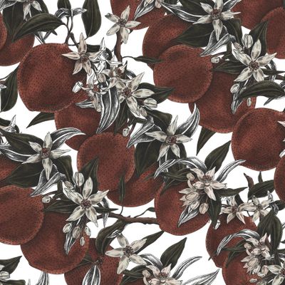 Апельсины на ветке