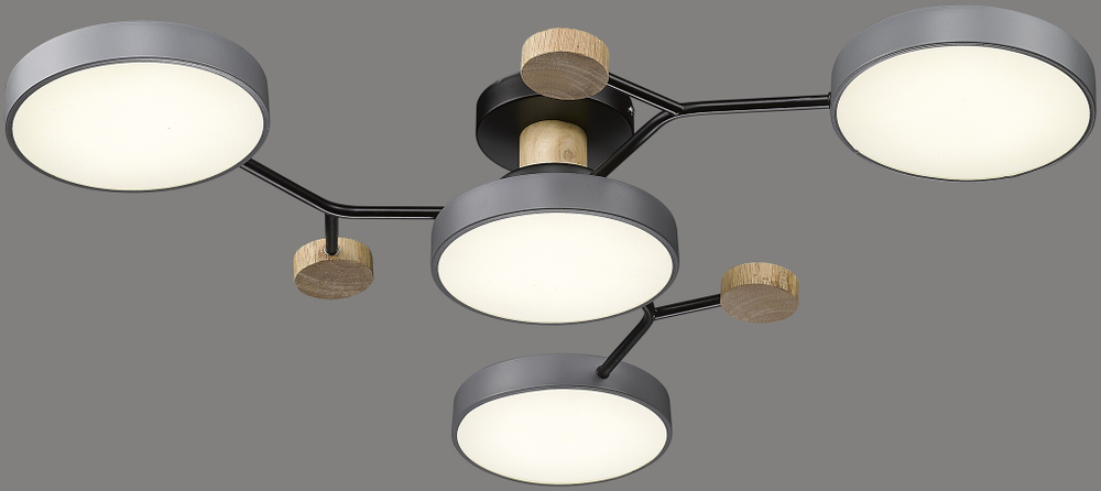 Светильник потолочный Velante LED 446-207-04