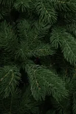 Ель искусственная «Приозерская» (Литая хвоя) 3 м