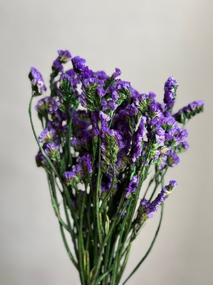 Статица стабилизированная фиолетовая