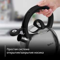 Чайник для плиты Tefal Intuition 2.5 л N4180317