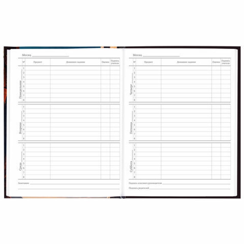 Дневник 5-11 класс 48 л., твердый, BRAUBERG, глянцевая ламинация, с подсказом, "Мир будущего", 106870