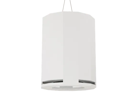 CVGAUDIO SUBone model DH-8W/CR/T