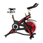 Сайкл PANATTA Star Bike Evolution 1CF10E