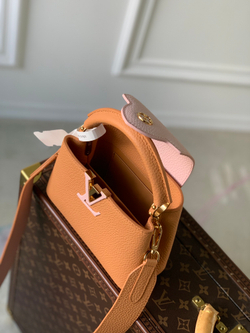 Louis Vuitton Capucines Mini