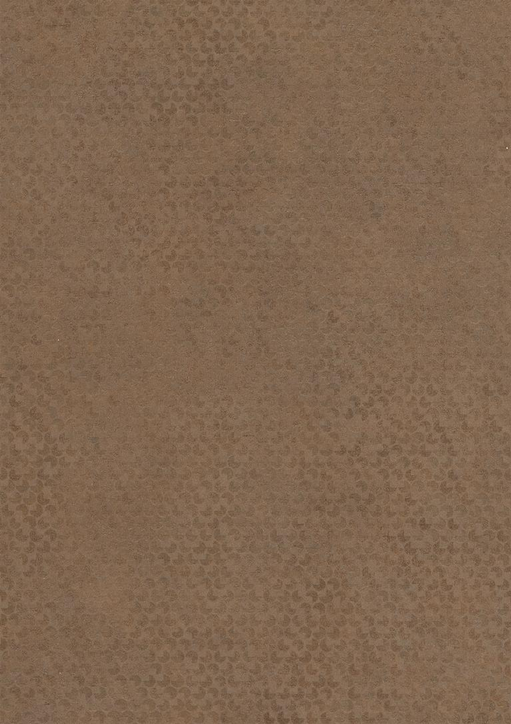 Кобра бронза F323 ST20