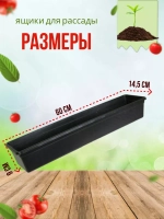 Ящик под рассаду Садовит №2 60х14.5х9см *10шт