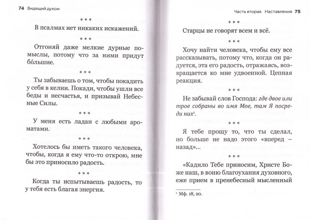 Видящий духом. Свидетельства о преподобном старце Порфирии Кавсокаливите