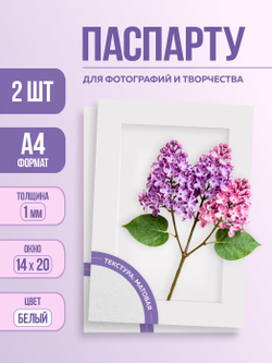 Паспарту 21х30 мм белый арт.619074_8099