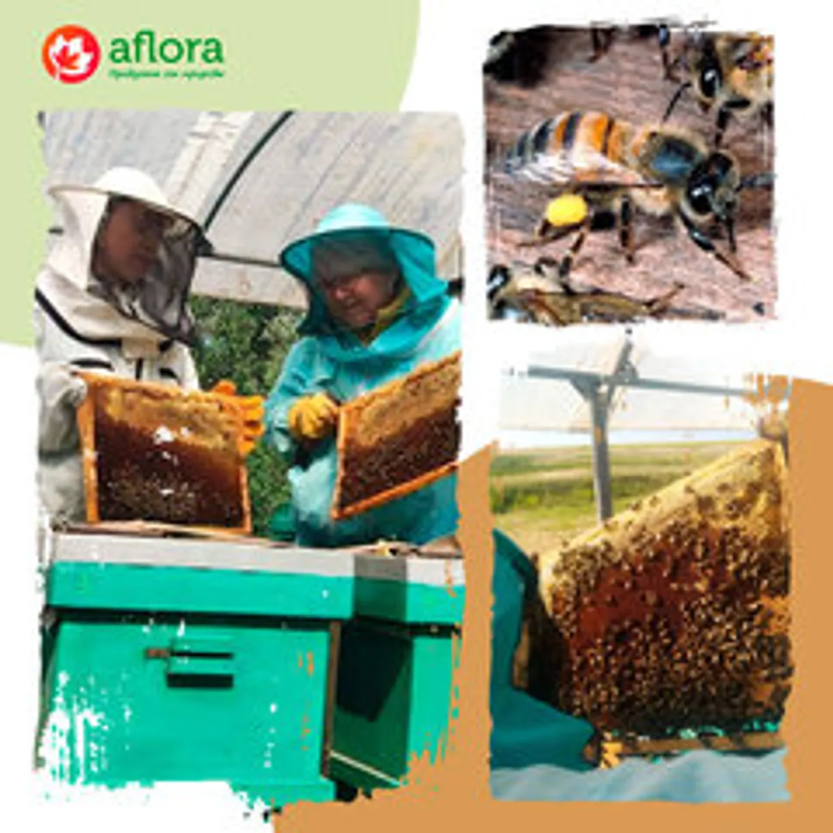 Мед разнотравье / 1,2 кг