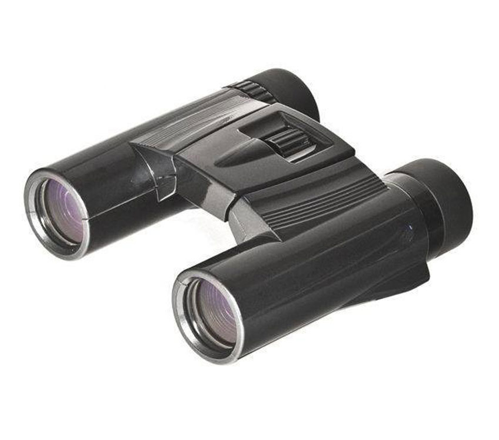 Бинокль KENKO Ultra View 10x25 DH Black